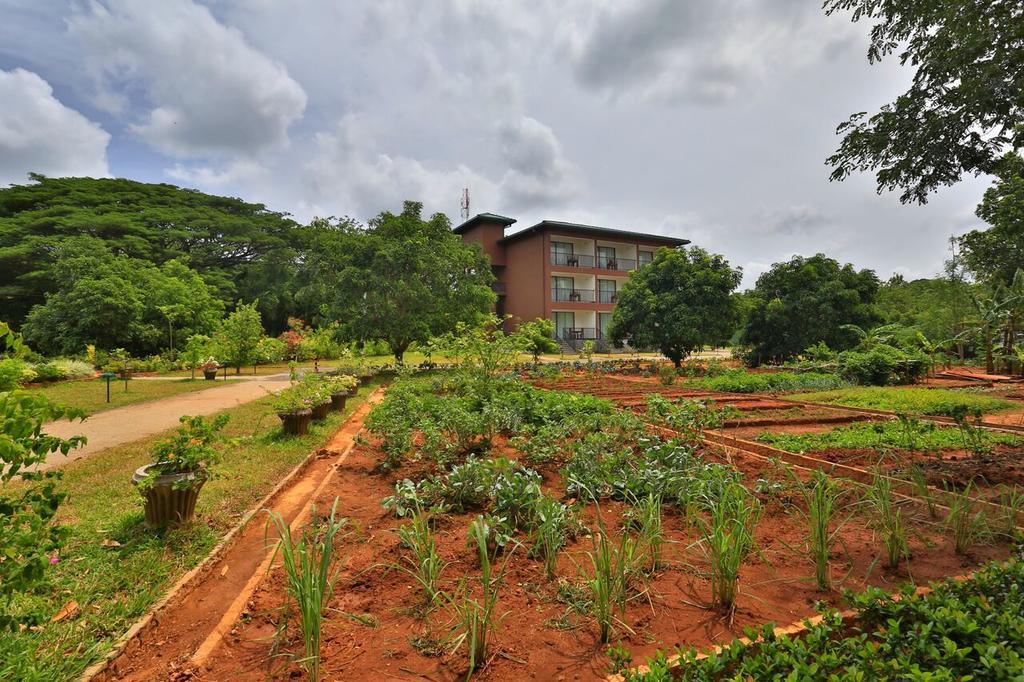Hotel Grand & Gangula Dambulla Exteriér fotografie