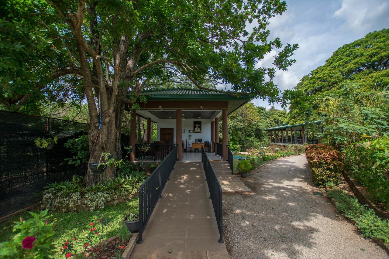 Hotel Grand & Gangula Dambulla Exteriér fotografie