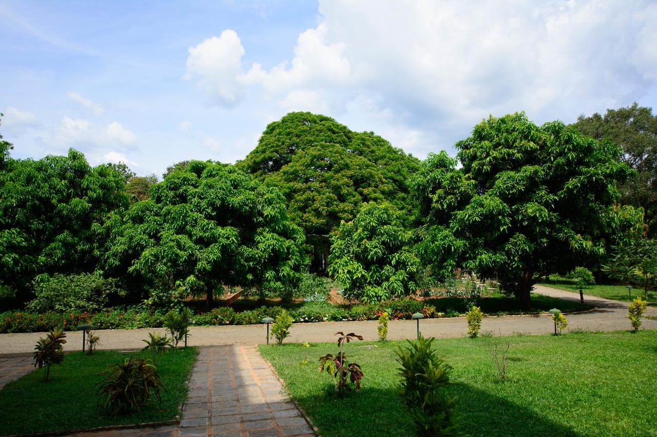 Hotel Grand & Gangula Dambulla Exteriér fotografie