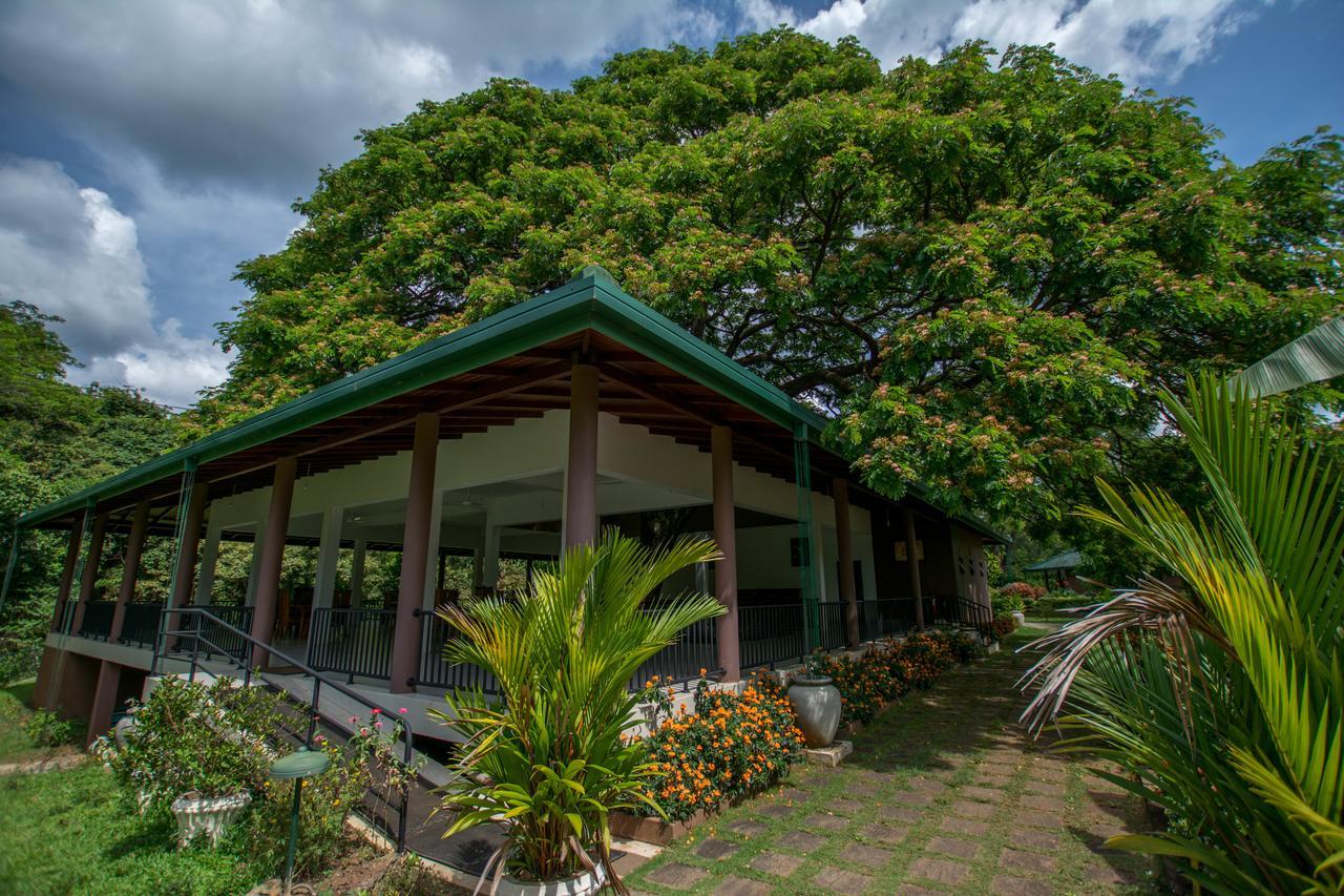 Hotel Grand & Gangula Dambulla Exteriér fotografie