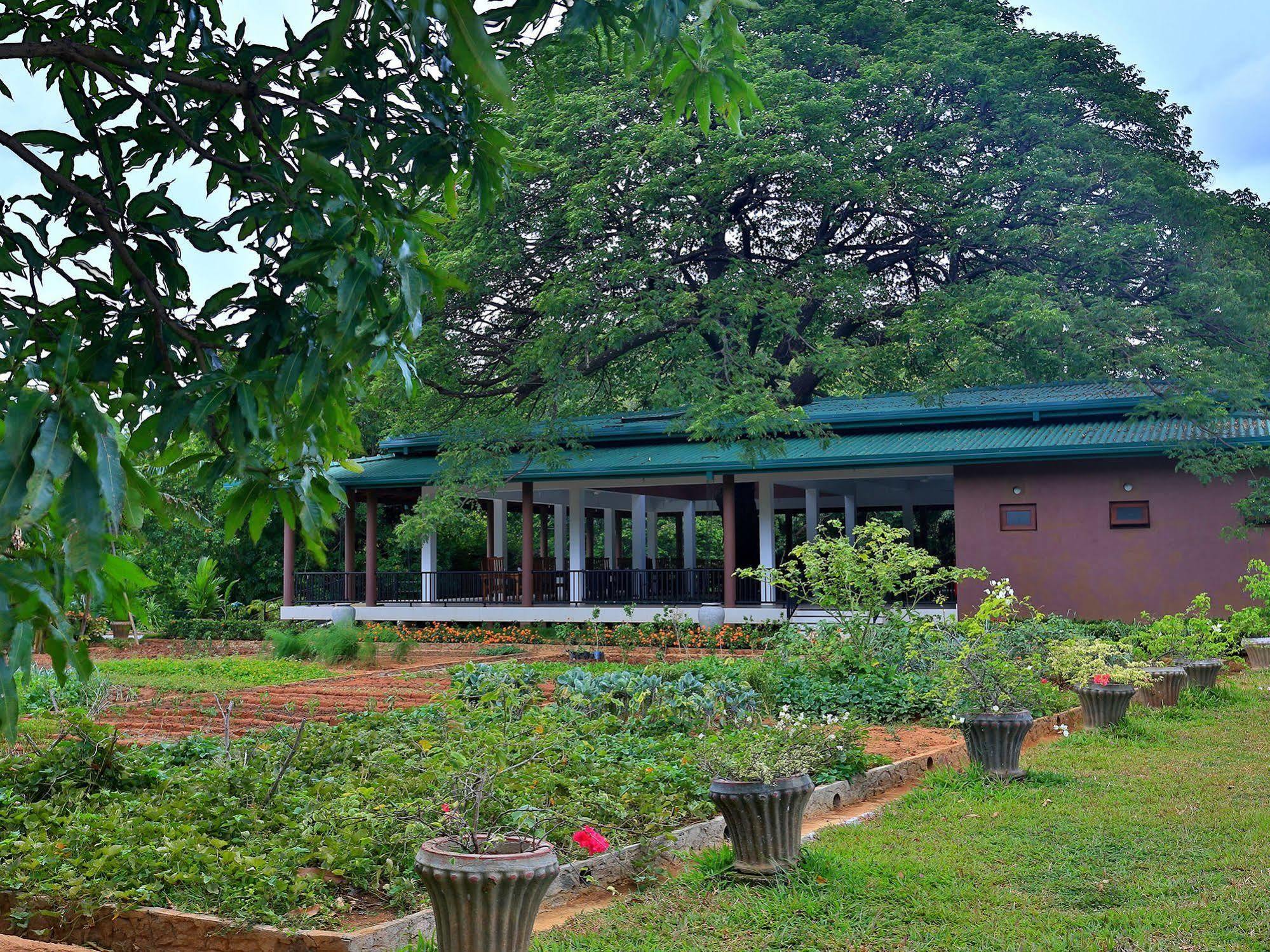 Hotel Grand & Gangula Dambulla Exteriér fotografie