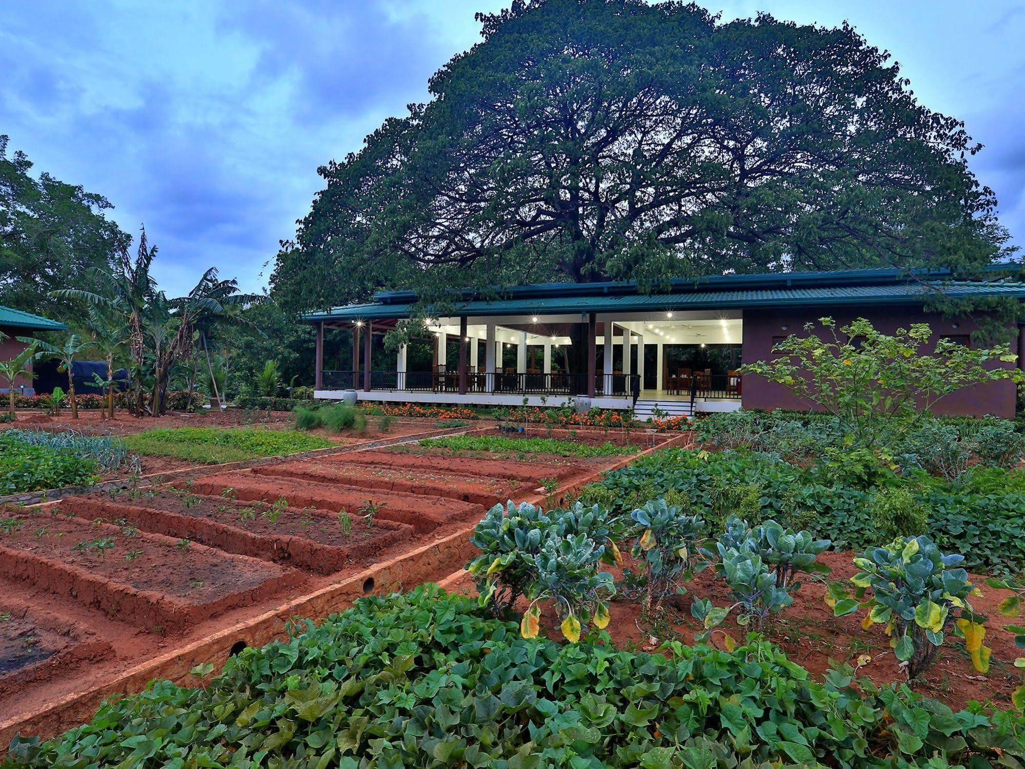 Hotel Grand & Gangula Dambulla Exteriér fotografie