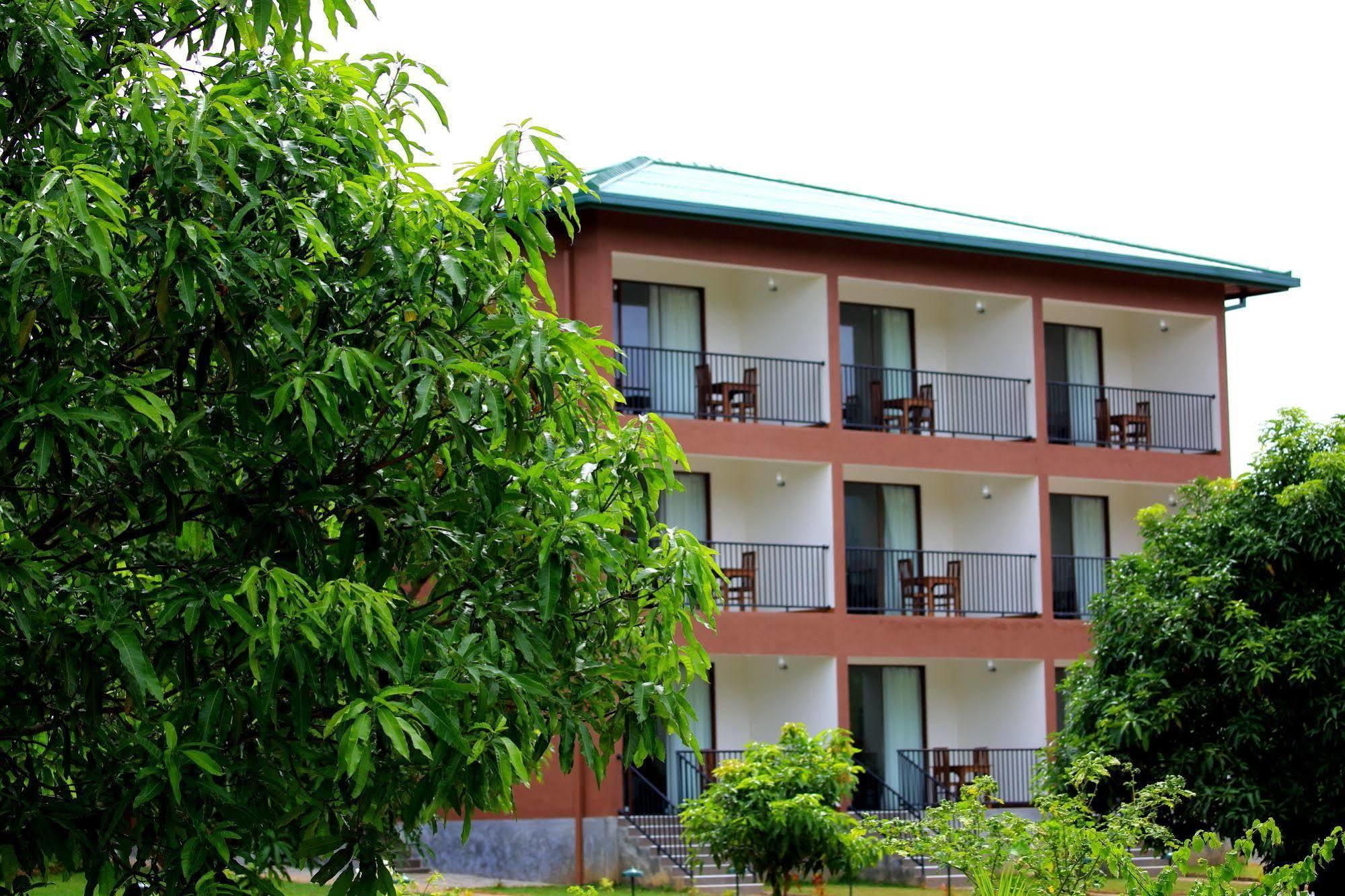 Hotel Grand & Gangula Dambulla Exteriér fotografie