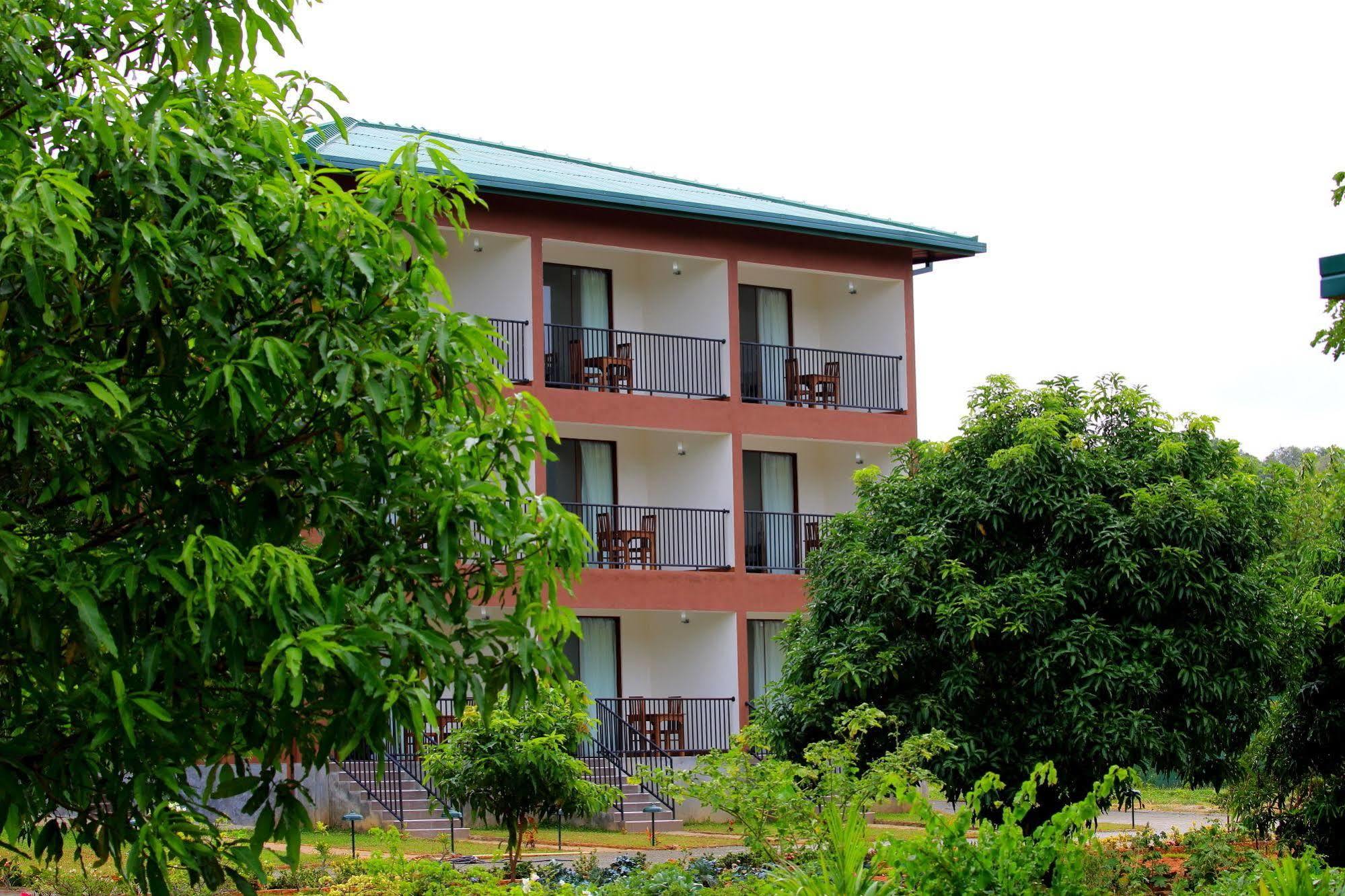 Hotel Grand & Gangula Dambulla Exteriér fotografie