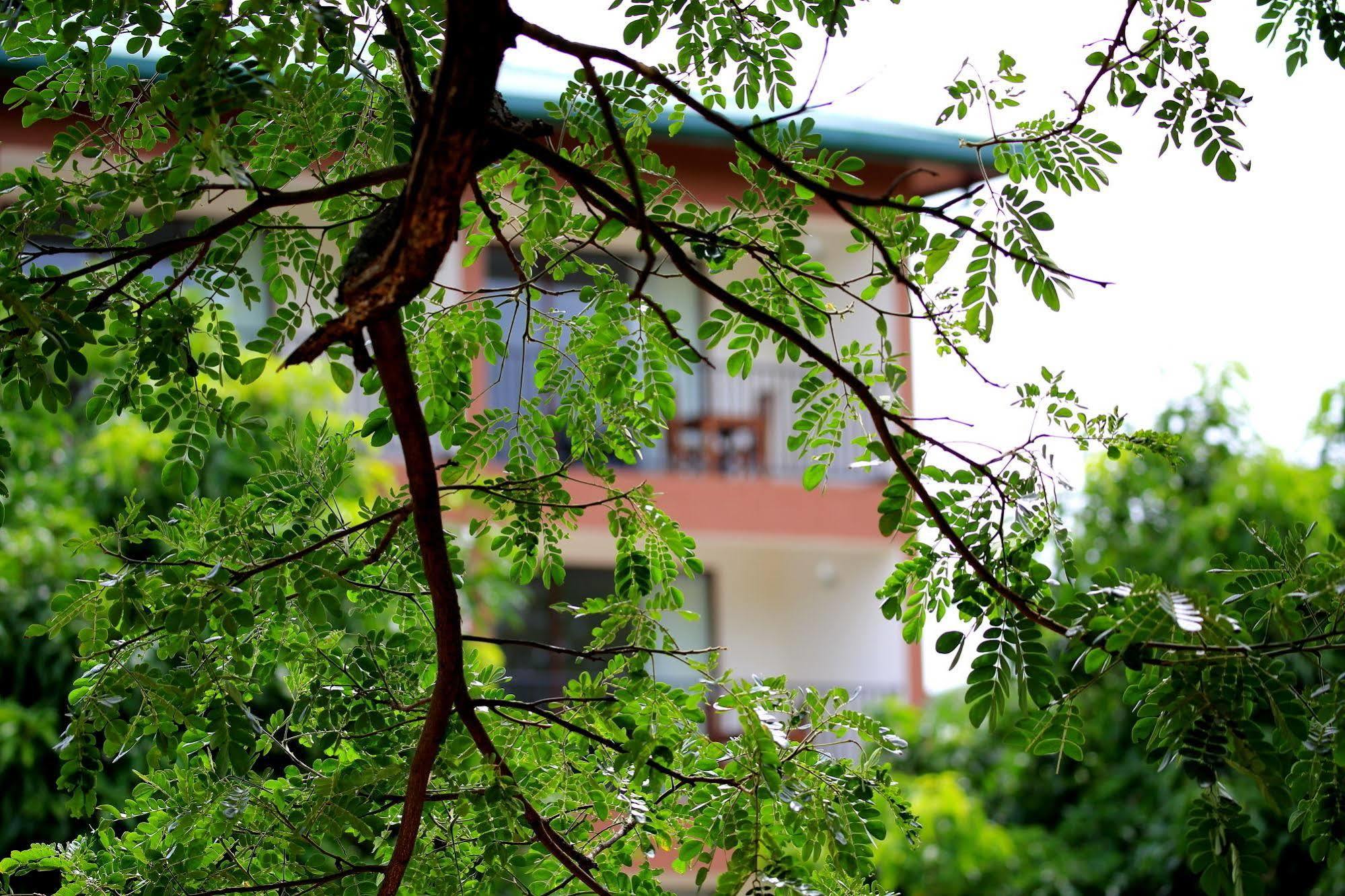 Hotel Grand & Gangula Dambulla Exteriér fotografie