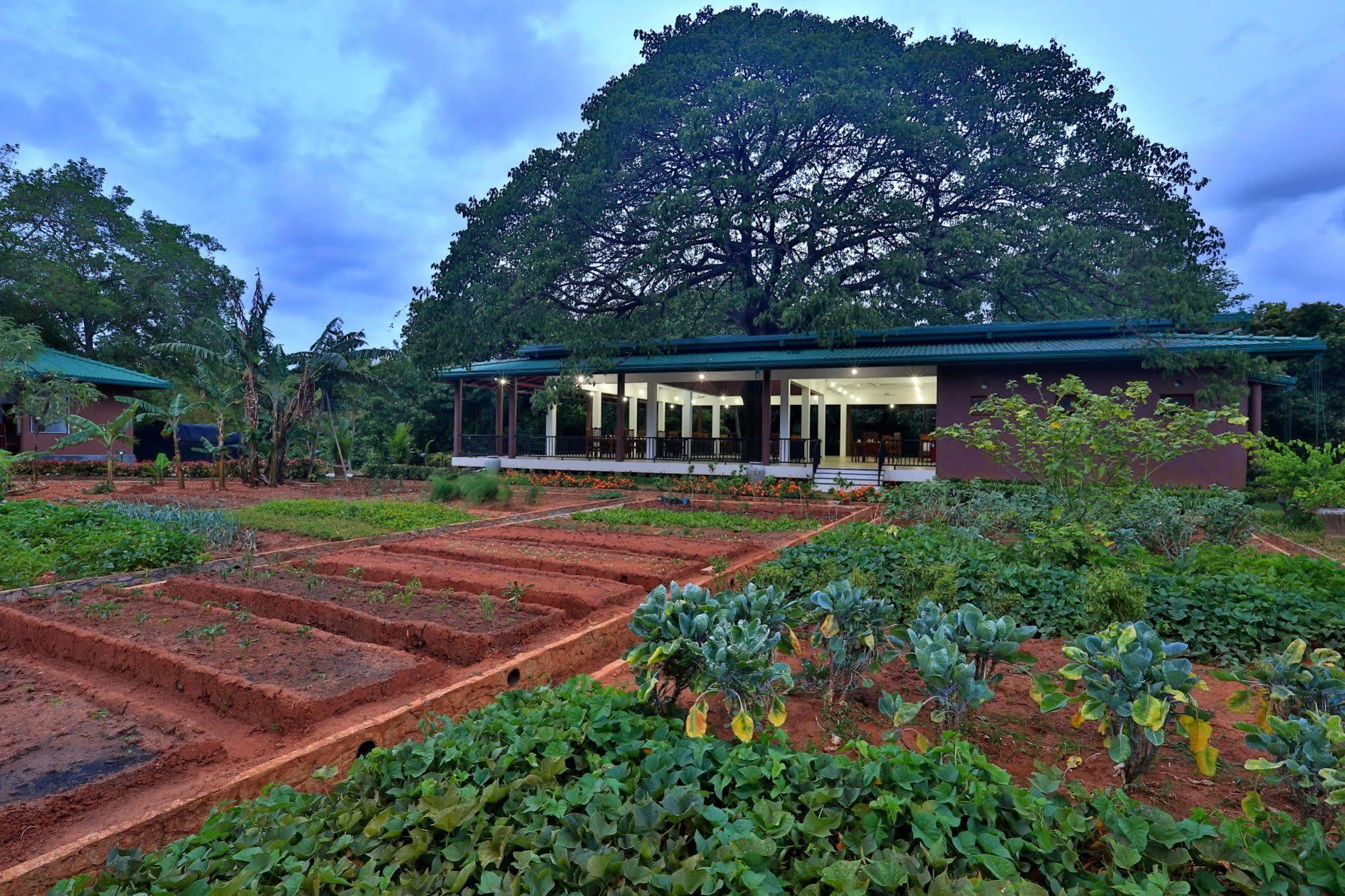 Hotel Grand & Gangula Dambulla Exteriér fotografie